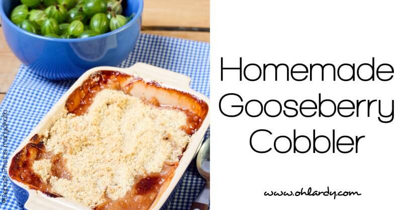 Homemade Gooseberry Cobbler - www.ohlardy.com