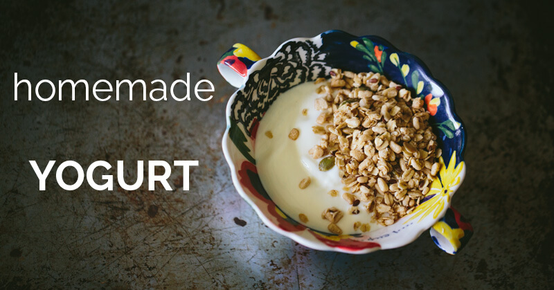Homemade Yogurt - ohlardy.com
